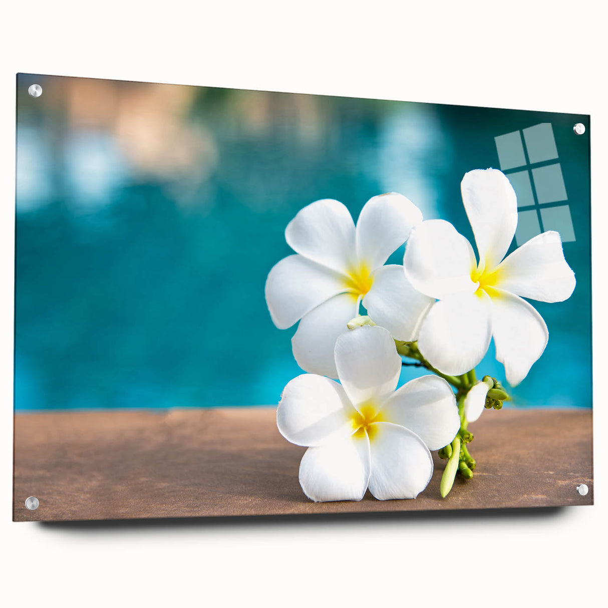 Acrylic print of Bora Bora scenery with turquoise waters and overwater bungalows, ideal for bedroom or dining room decor.