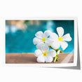 Extra large rolled print of a serene Bora Bora seascape with vibrant blues and greens, ideal for art wall dining room.