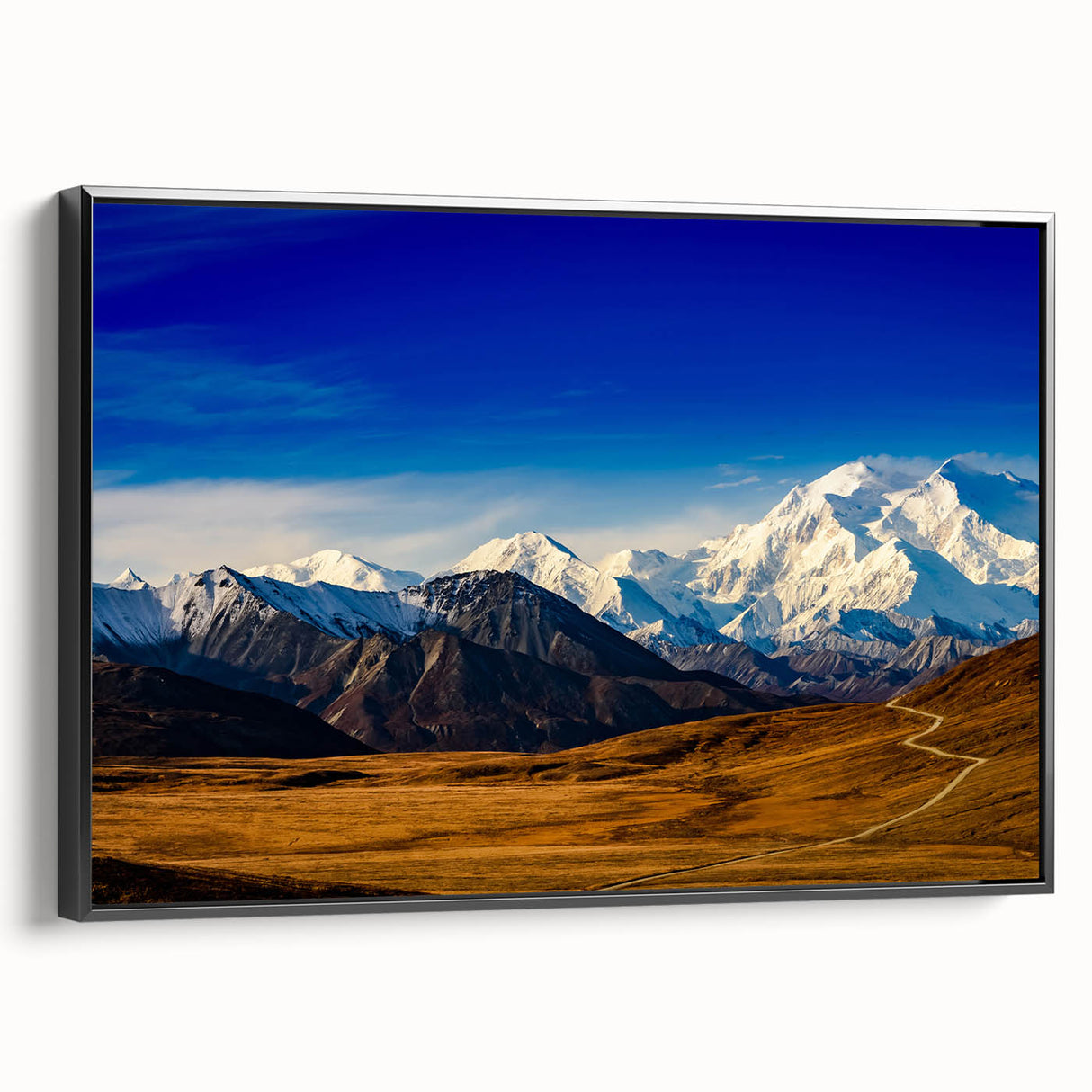 Black and white wall art featuring Denali landscape on framed canvas, suitable for bedroom decor.