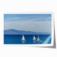 Extra large rolled print of a floral scene in Santa Barbara, with soft color tones, ideal for art wall dining room.