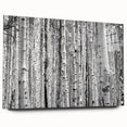 Acrylic print of a Colorado Aspen landscape in muted earth tones, suitable for bedroom or dining room decor.
