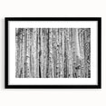 Colorful abstract art print of Aspen scenery in vibrant hues on a large, framed canvas, ideal for living room decor.