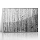 Modern art wall decor featuring a serene Aspen, Colorado landscape in muted earth tones, acrylic print framed in white.