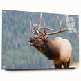 Acrylic print of the Rocky Mountains in soft earth tones, suitable for bedroom or dining room decor.