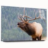 Acrylic print of the Rocky Mountains in soft earth tones, suitable for bedroom or dining room decor.
