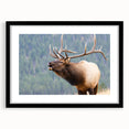 Extra large, textured abstract art print of the Colorado Rocky Mountains in vibrant colors on a framed canvas.