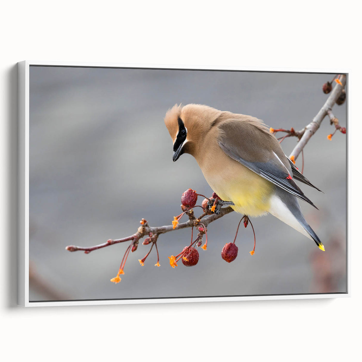 Vintage poster art of Iowa scenery on framed canvas with colorful accents, ideal for living room decor.