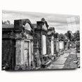Acrylic print of New Orleans scenery in muted earth tones, ideal for dining room art.