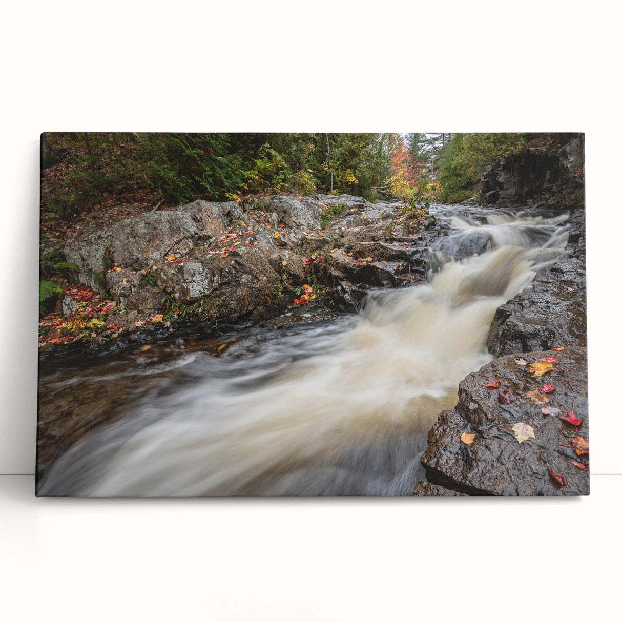 Black and white photograph of Acadia National Park on stretched canvas, ideal for kitchen wall art or bedroom.