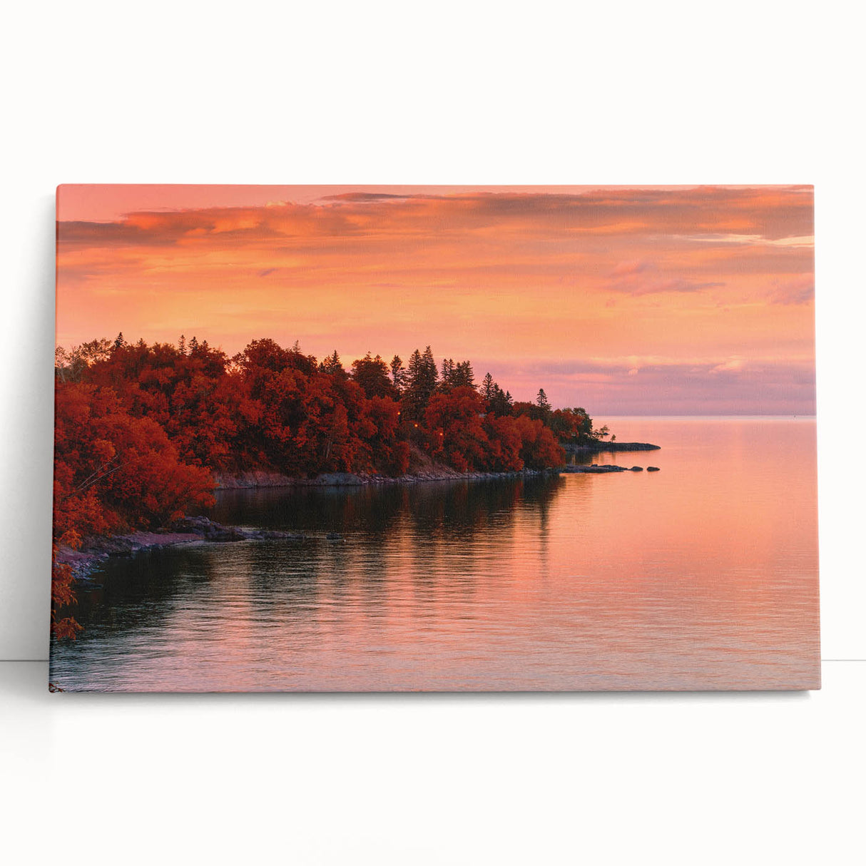 Black and white stretched canvas of Minnesota scenery, ideal for kitchen wall art or bedroom ambiance.
