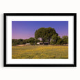 Extra large, textured abstract art print of colorful, swirling patterns on a black framed canvas.