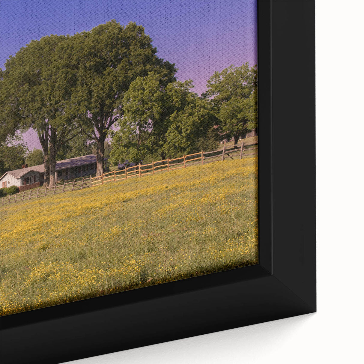 Extra large framed canvas featuring a textured Mississippi scenery in black with colorful art accents.