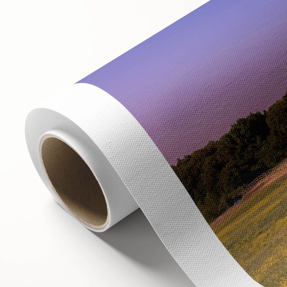 Art deco poster of Mississippi scenery in pastel shades on rolled canvas, ideal for nursery wall art.