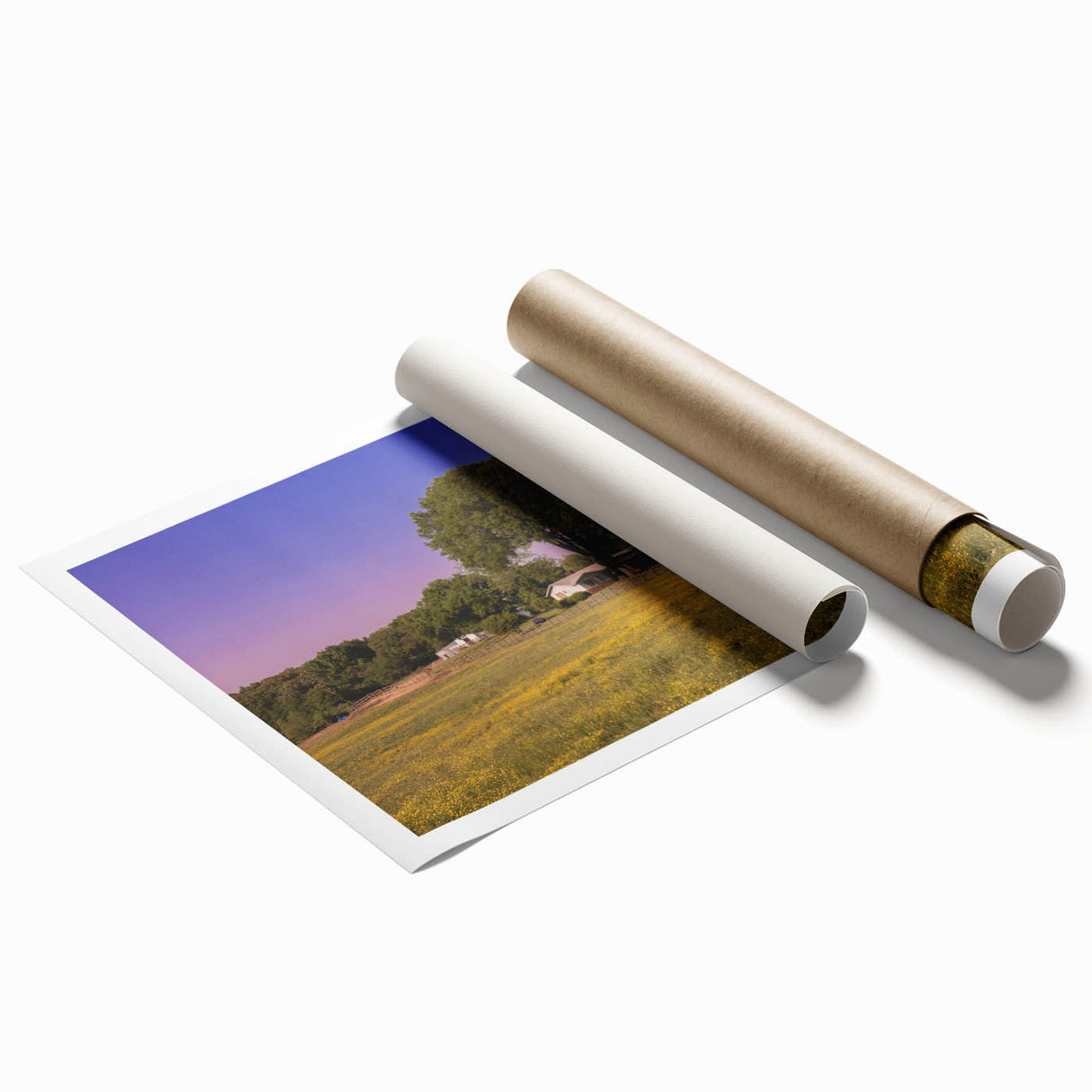 Extra large rolled print featuring a floral scene in pastel shades.