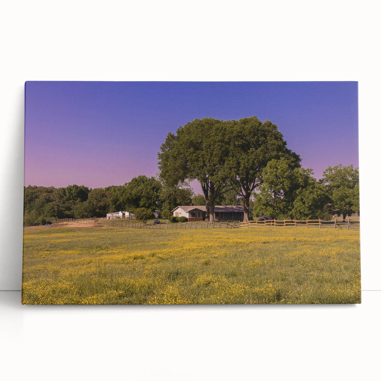 Black and white stretched canvas of Mississippi scenery, ideal for kitchen wall art or bedroom ambiance.