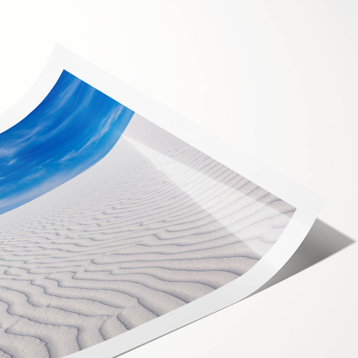 Extra large wall art featuring line art flowers on a rolled print, set against White Sands, New Mexico.