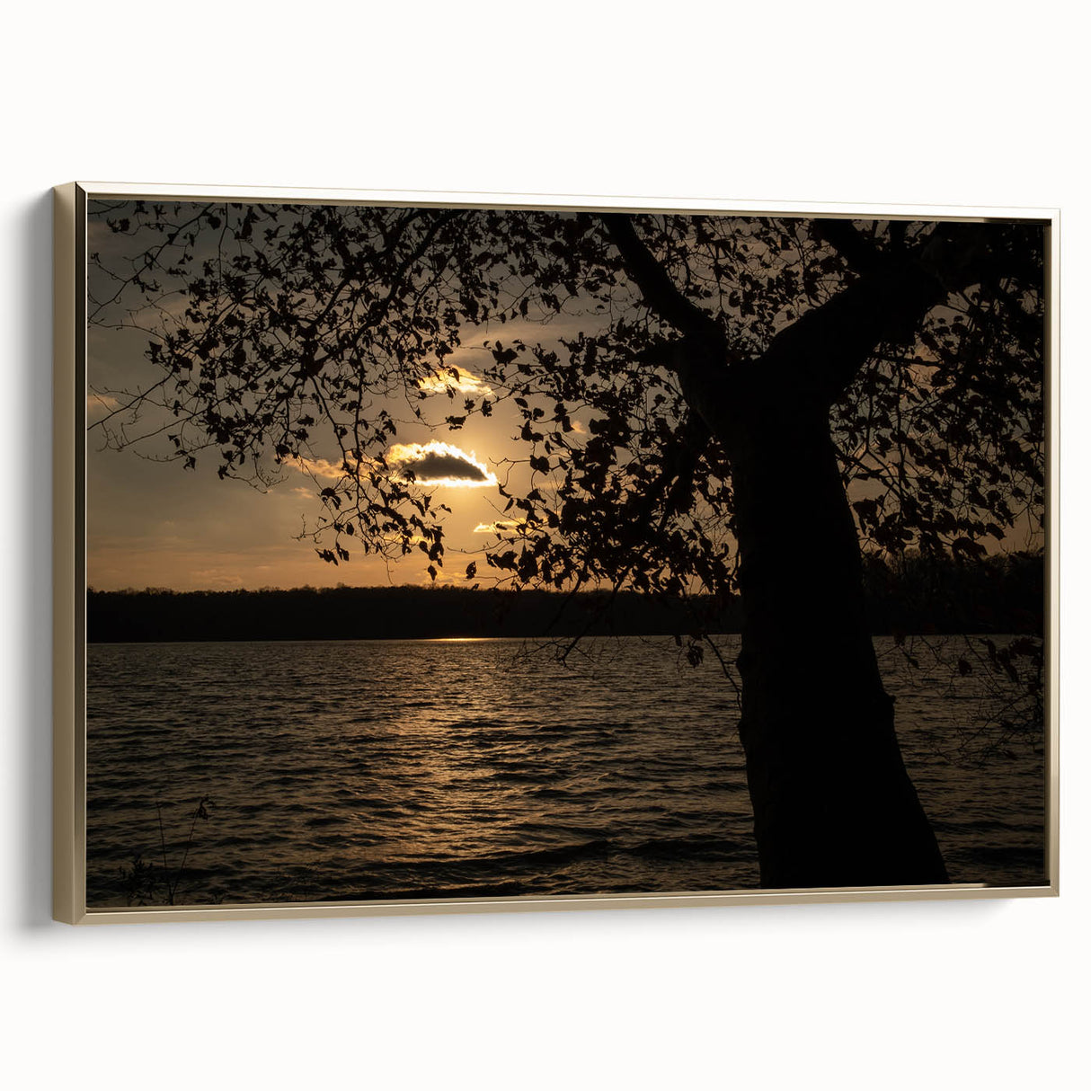 Framed canvas of Raleigh, North Carolina landscape in vintage poster style, featuring muted earth tones.