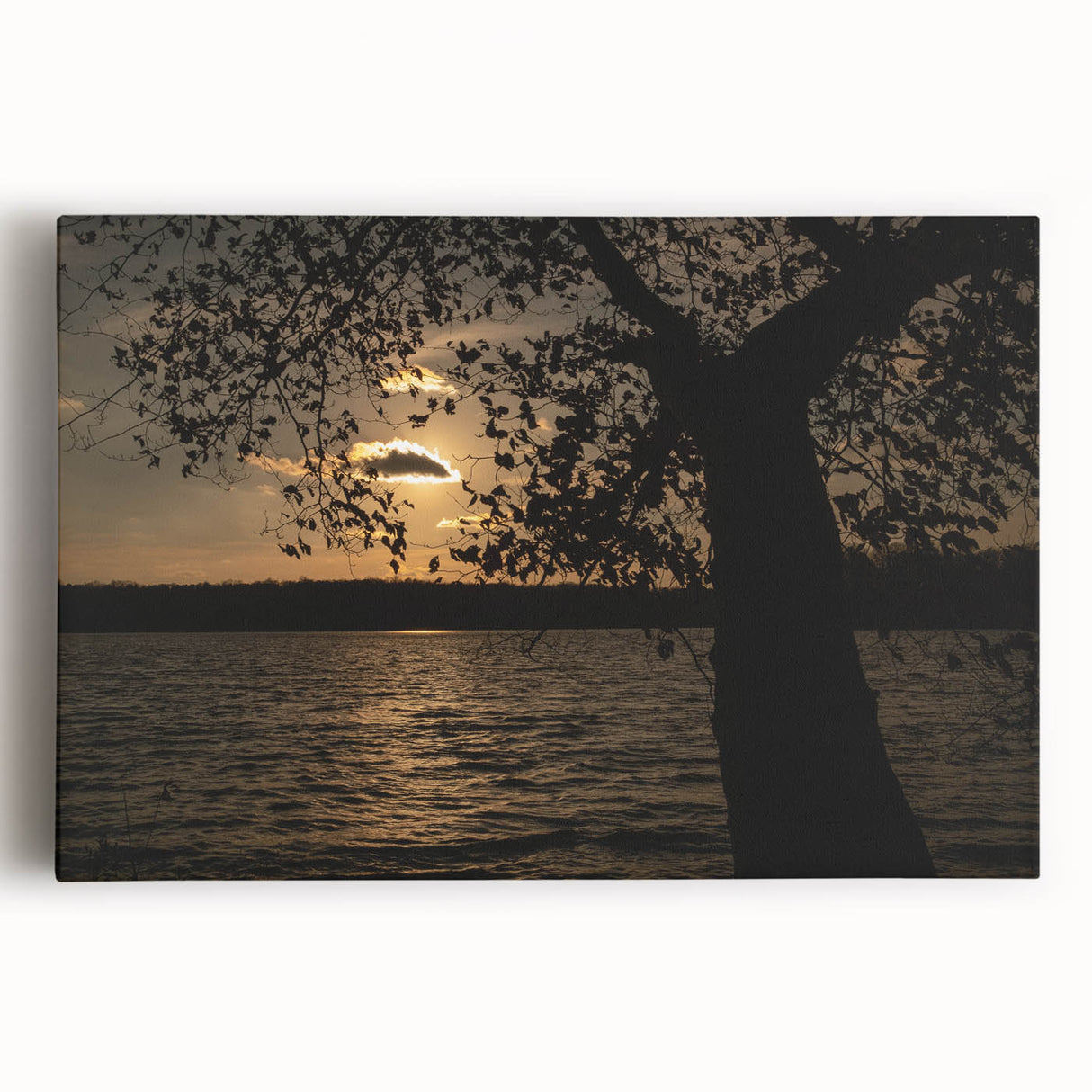 Black and white stretched canvas of Raleigh, North Carolina skyline, ideal for kitchen wall art.