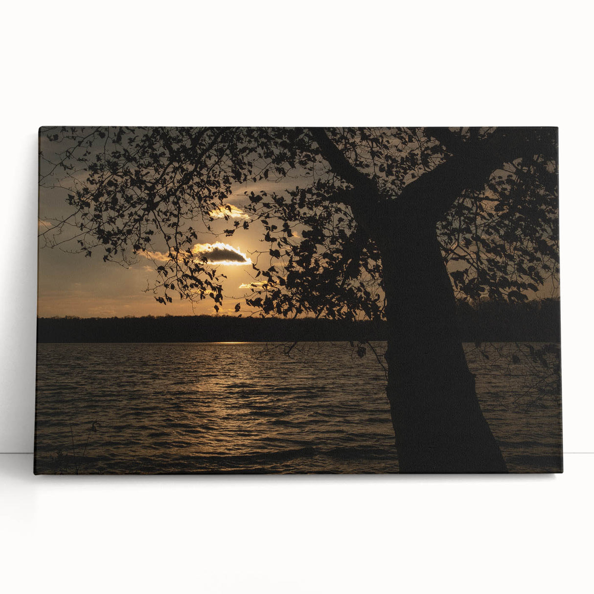 Black and white stretched canvas of Raleigh skyline, ideal for kitchen wall art or bedroom decor.