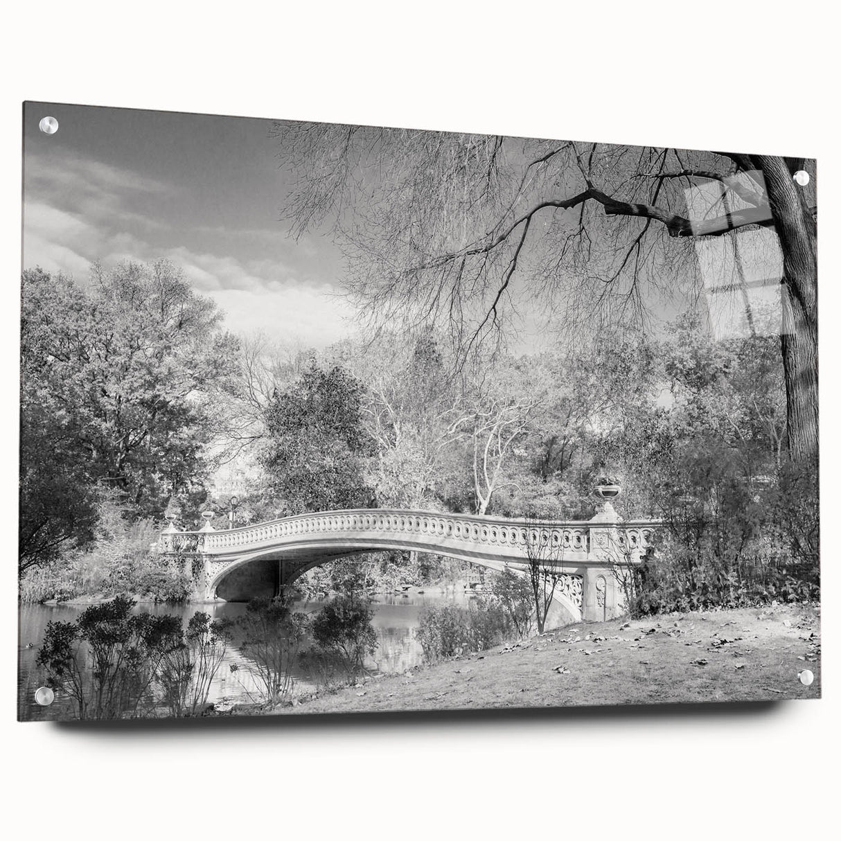 Acrylic print of Central Park with soft green and brown tones, ideal for dining room decor.