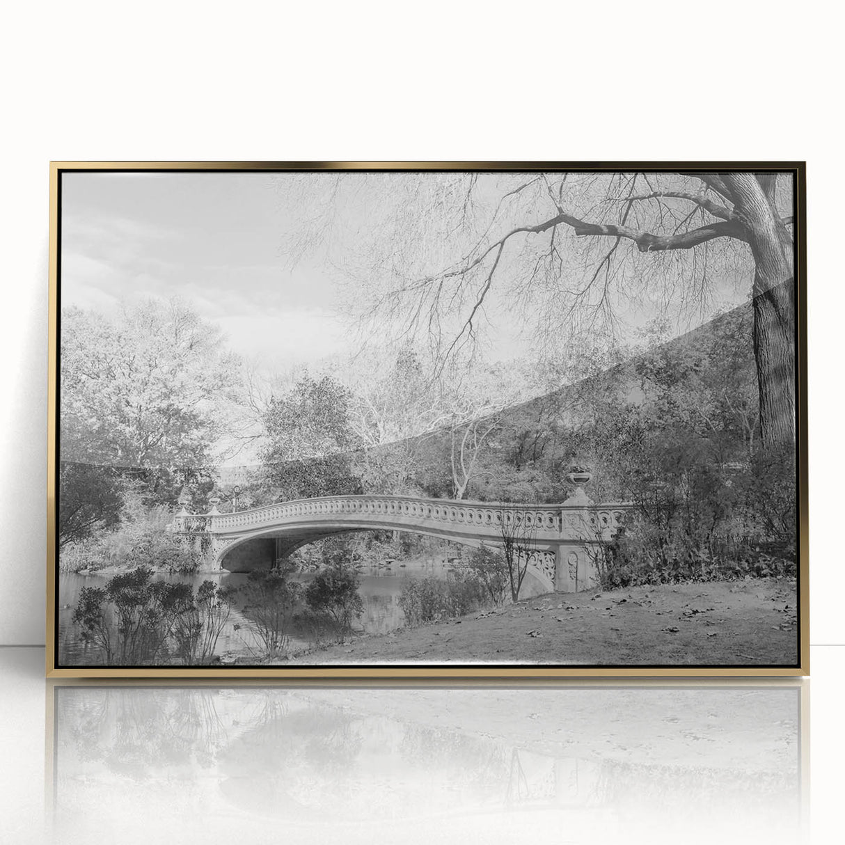 Acrylic print of Central Park with autumn trees in muted gold tones, framed, ideal for modern art wall decor.