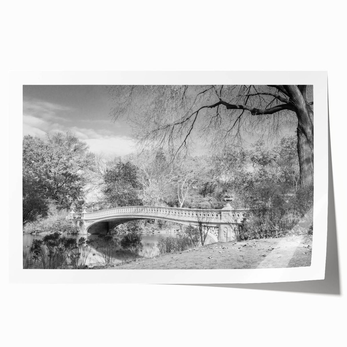 Extra large rolled print of Central Park with vibrant green tones, ideal for art wall dining room.
