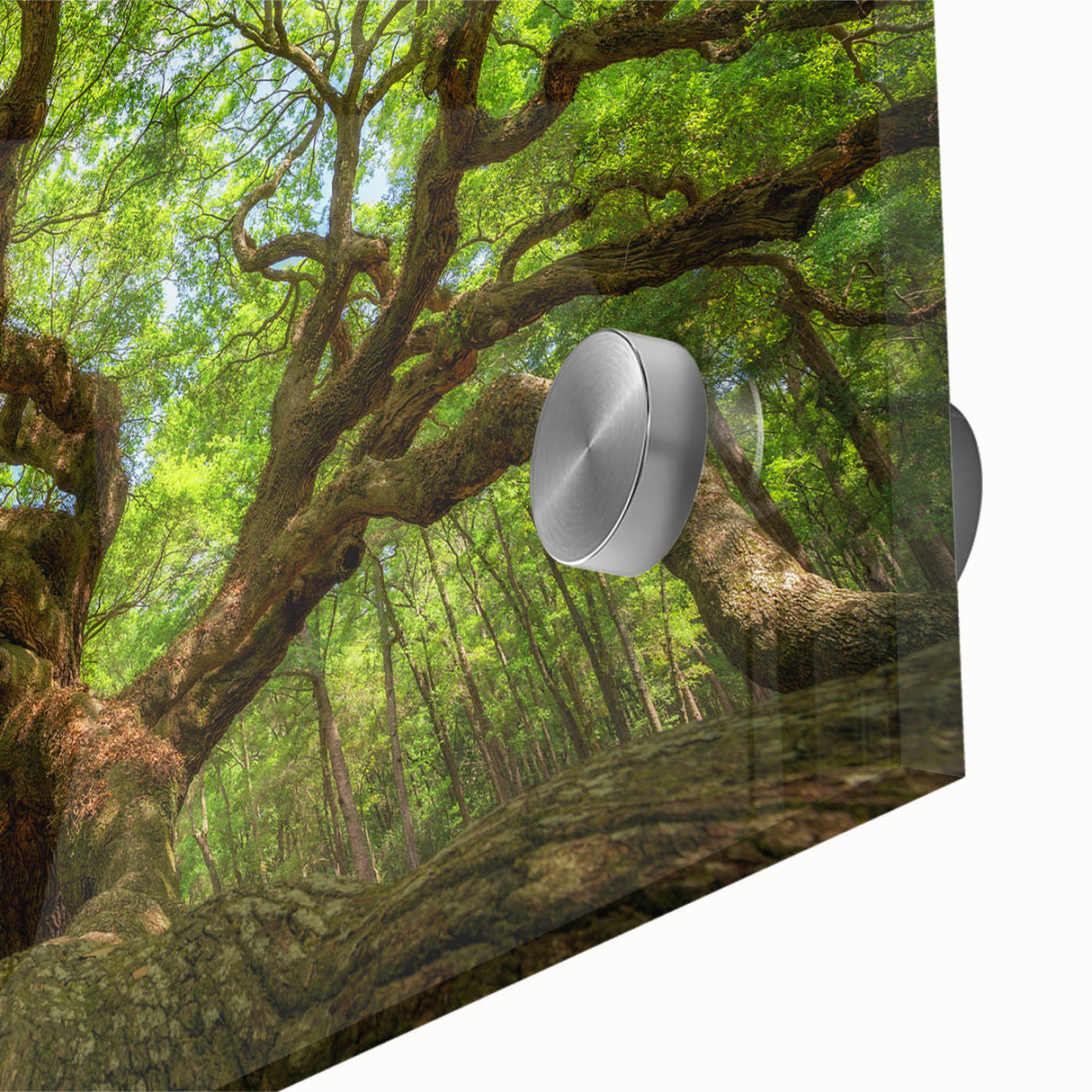 Large abstract wall art depicting Charleston, SC in muted earth tones on acrylic glass, ideal for dining room ambiance.