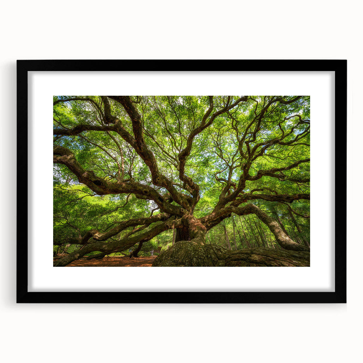 Colorful abstract art print of Charleston scenery in a black frame, ideal for extra large living room wall art.