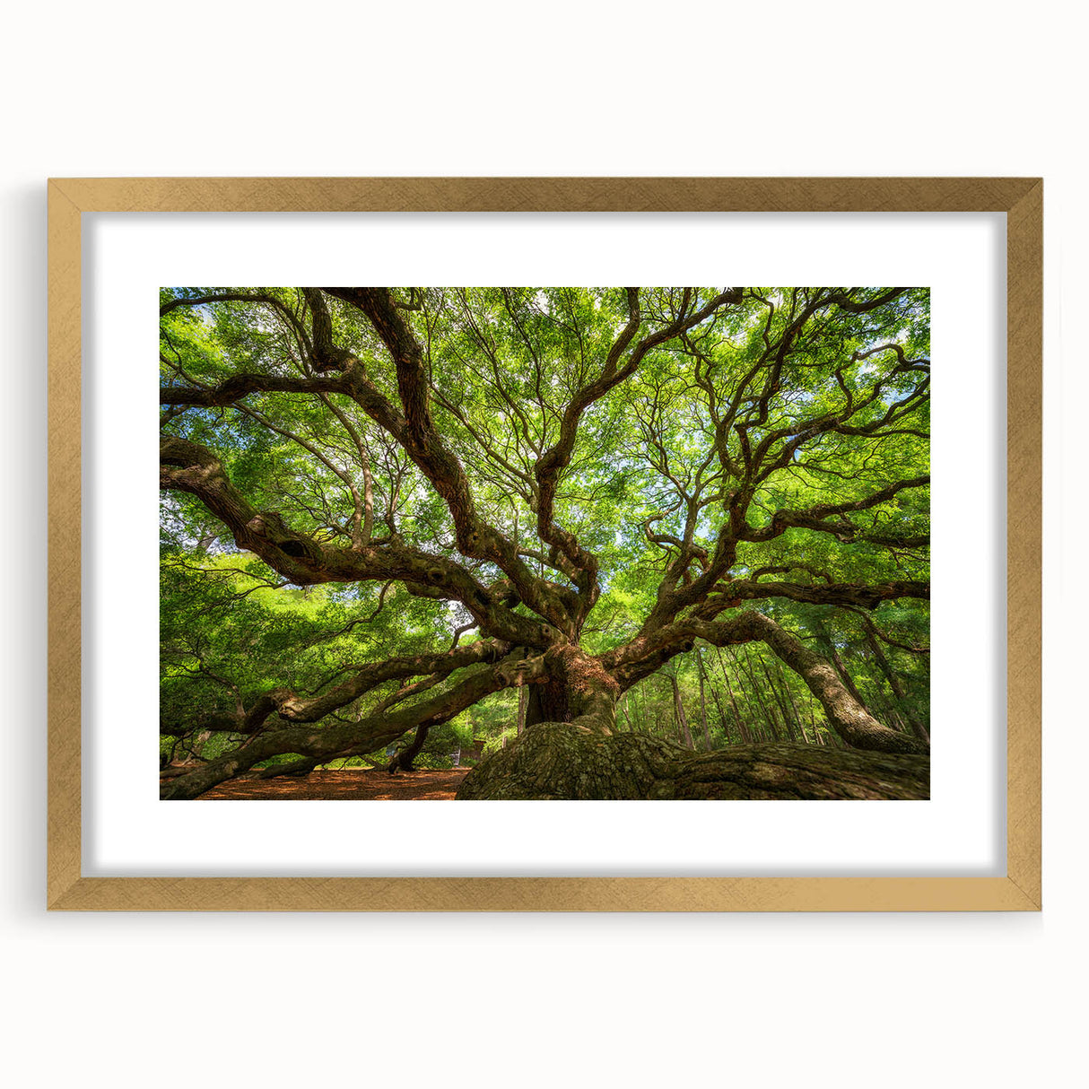 Extra large abstract art print depicting a textured Charleston scenery in muted earth tones, framed in gold.