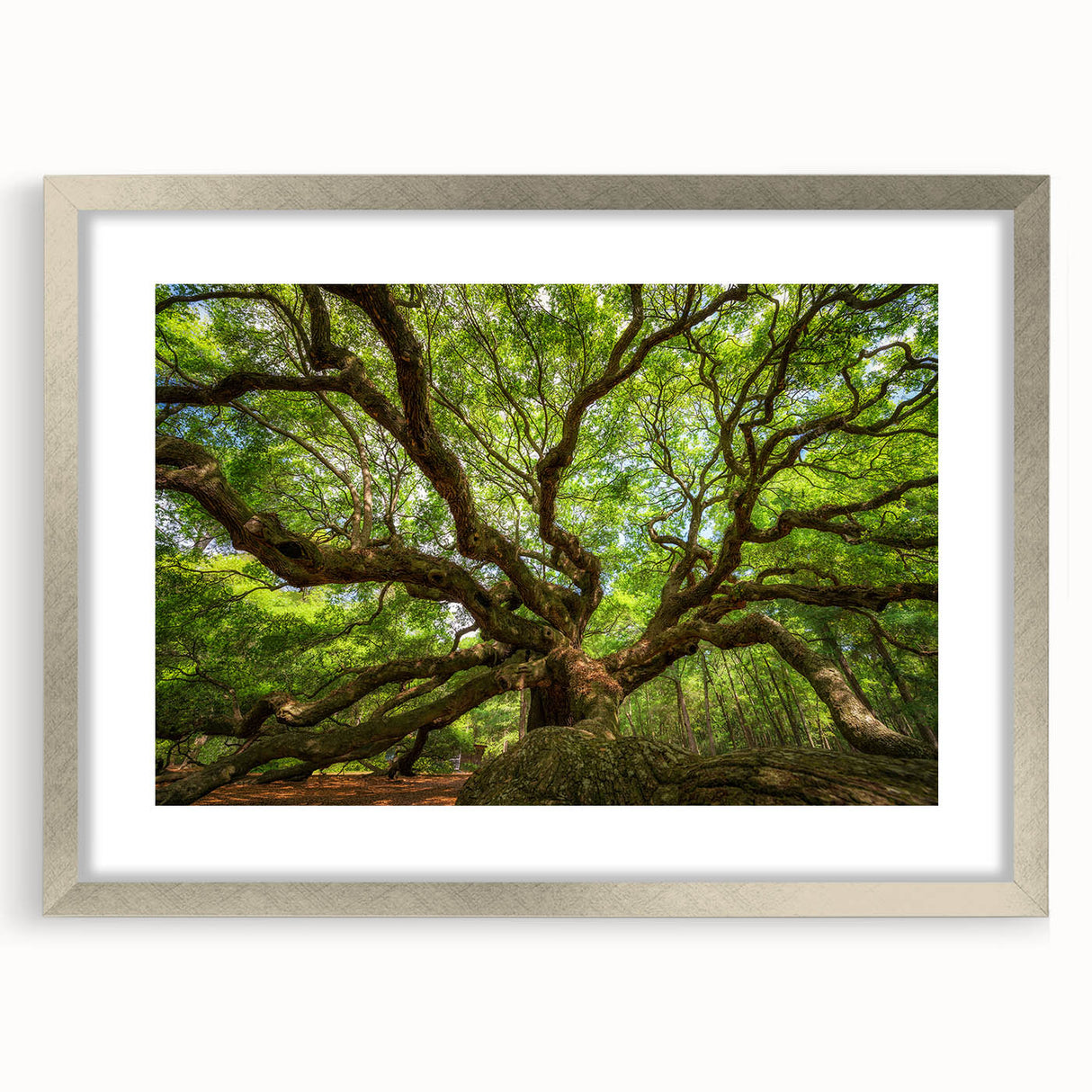 Textured abstract art print of Charleston scenery in muted earth tones on a framed silver mat, ideal for bedroom art.