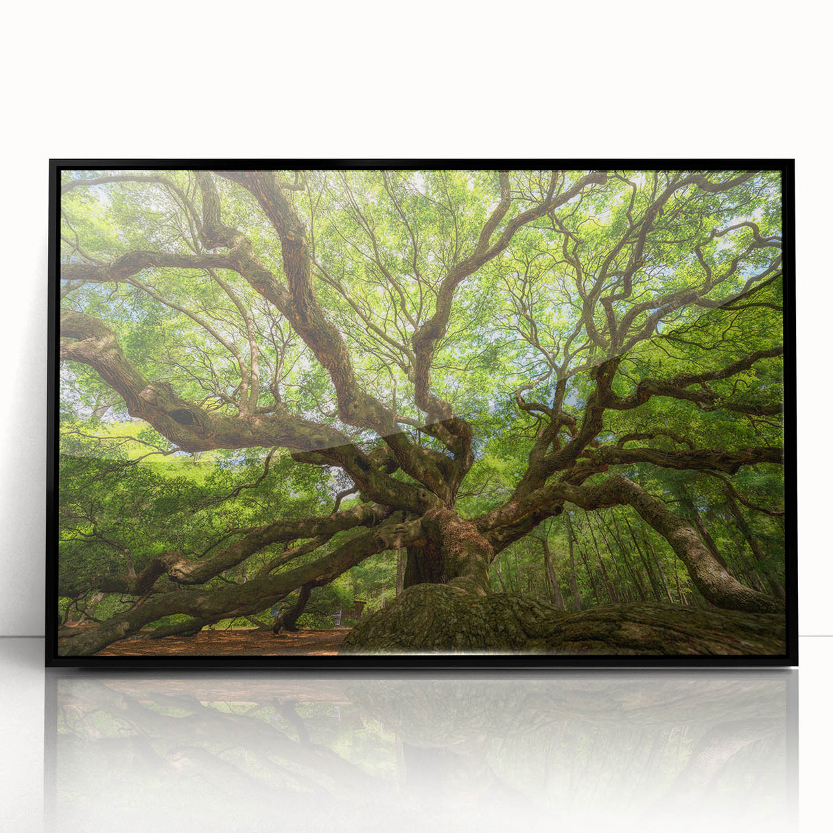 Large abstract wall art of Charleston scenery in muted earth tones on a black-framed acrylic.