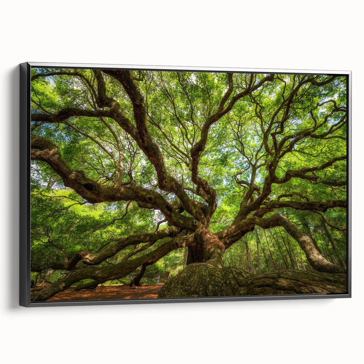 Framed canvas of a black and white vintage poster art depicting Charleston landscape, ideal for bedroom wall decor.