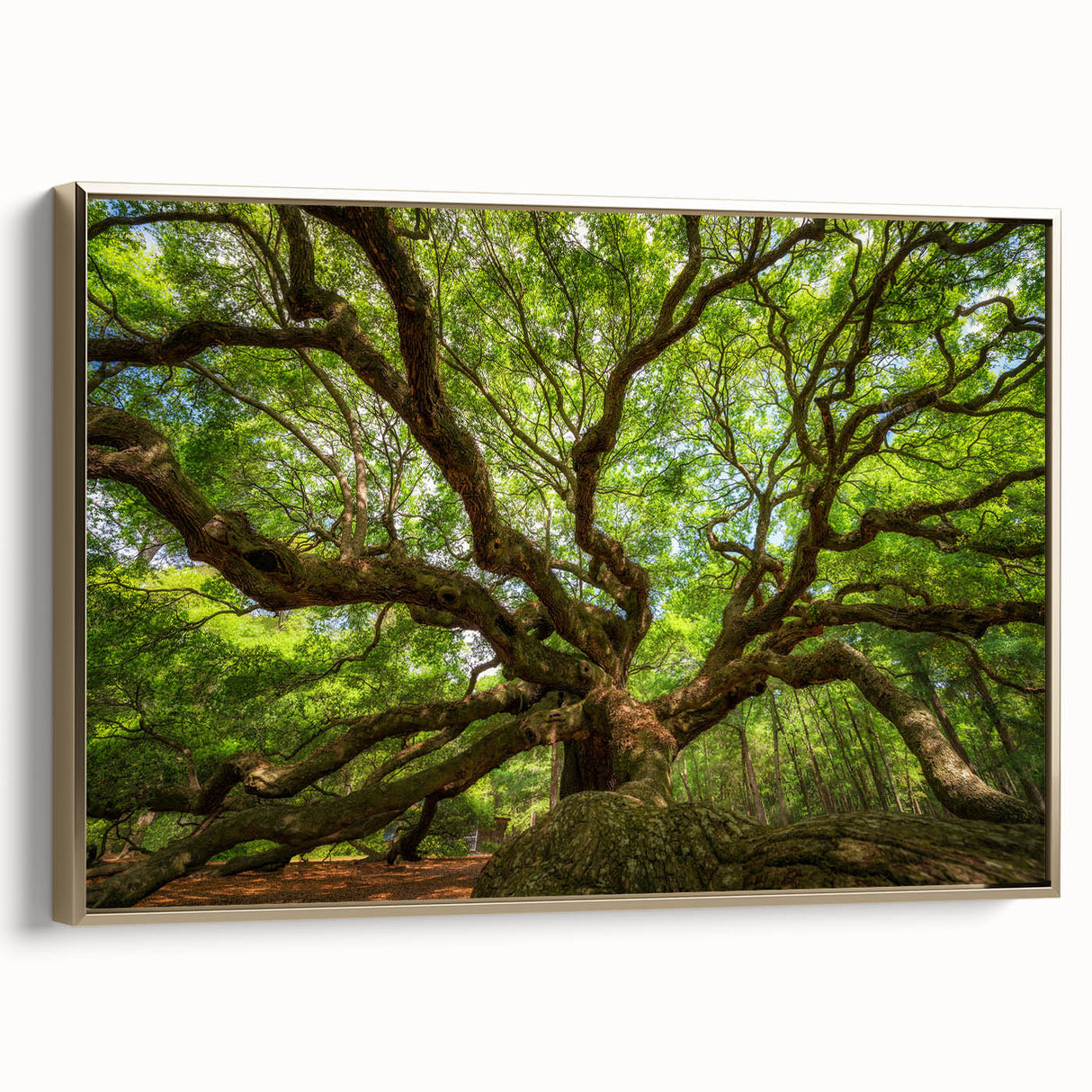 Framed canvas of Charleston landscape in muted gold and black tones, ideal for bedroom wall art.