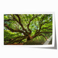 Charleston, South Carolina scenery on rolled print featuring soft pastel floral design, ideal for art wall dining room.
