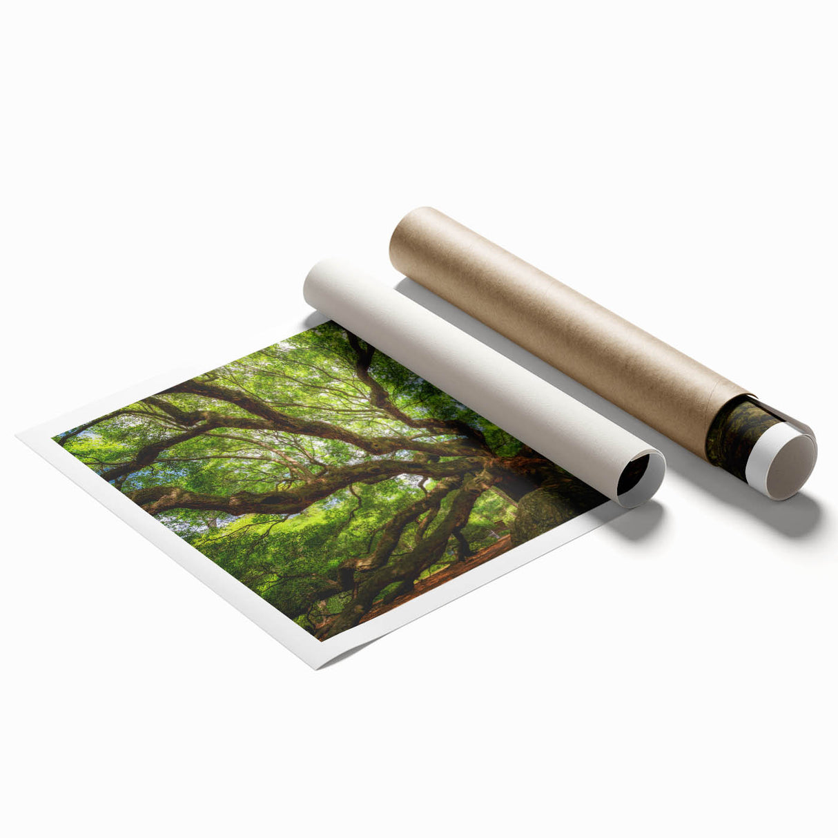 Extra large rolled print of Charleston scenery with floral elements in soft pastel shades.