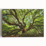 Black and white photograph of Charleston, South Carolina on stretched canvas, ideal for kitchen wall art.
