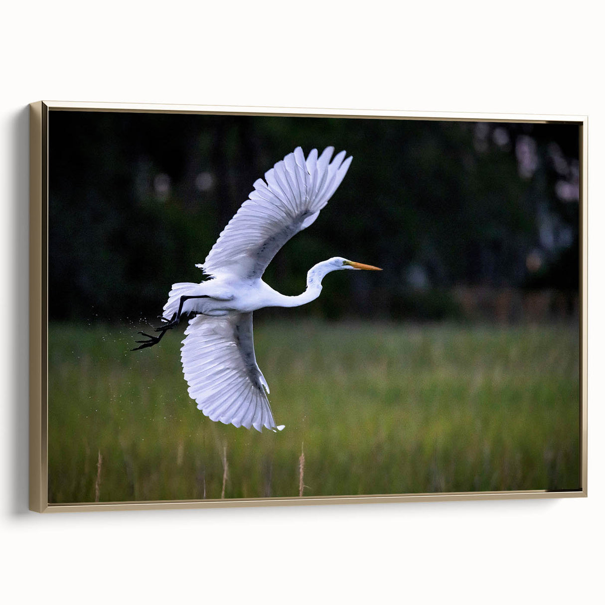Framed canvas depicting a vintage-style South Carolina landscape in muted gold and black tones, suitable for bedroom decor.