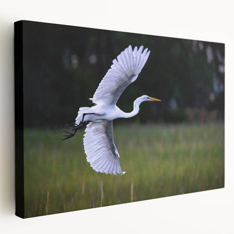 Stretched canvas depicting a serene South Carolina landscape in soft green and blue tones, ideal for kitchen wall art.