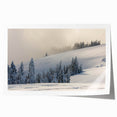 Extra large rolled print featuring a lush floral scene in Olympic, Washington.