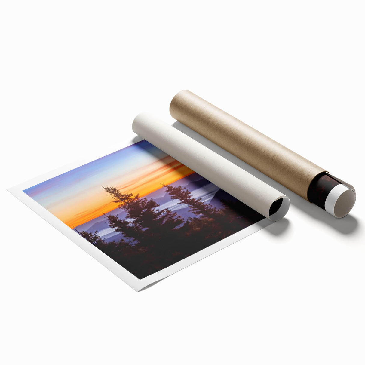 Extra large rolled print of West Virginia scenery featuring vibrant green flora, ideal for classy bathroom wall art.