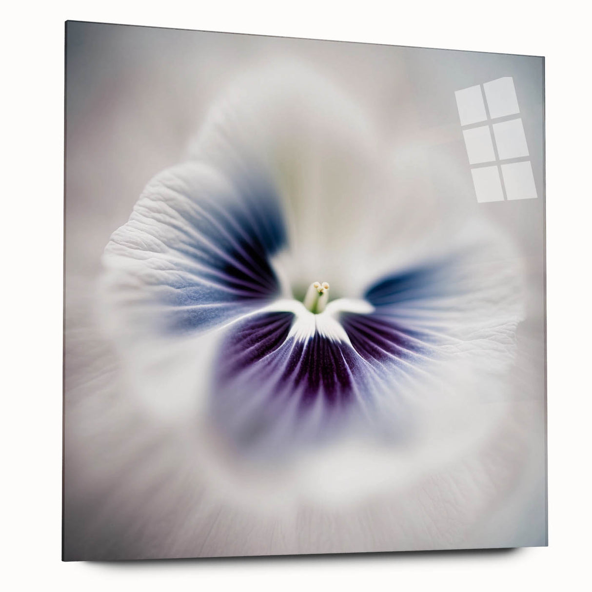 Framed Dining Room Prints - White and Violet Floral Artwork