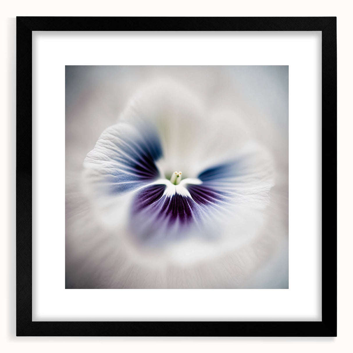 Framed Dining Room Prints - White and Violet Floral Artwork