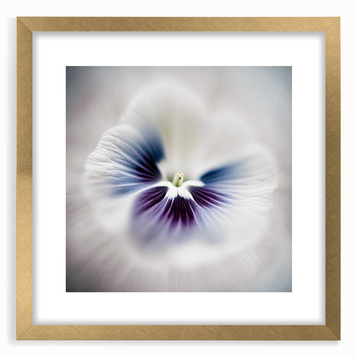 Framed Dining Room Prints - White and Violet Floral Artwork