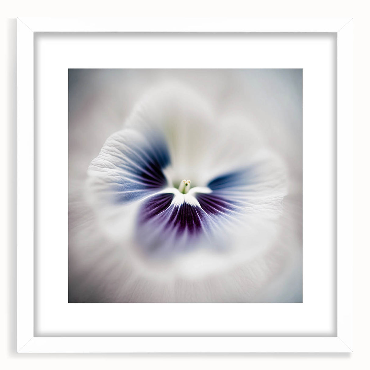 Framed Dining Room Prints - White and Violet Floral Artwork
