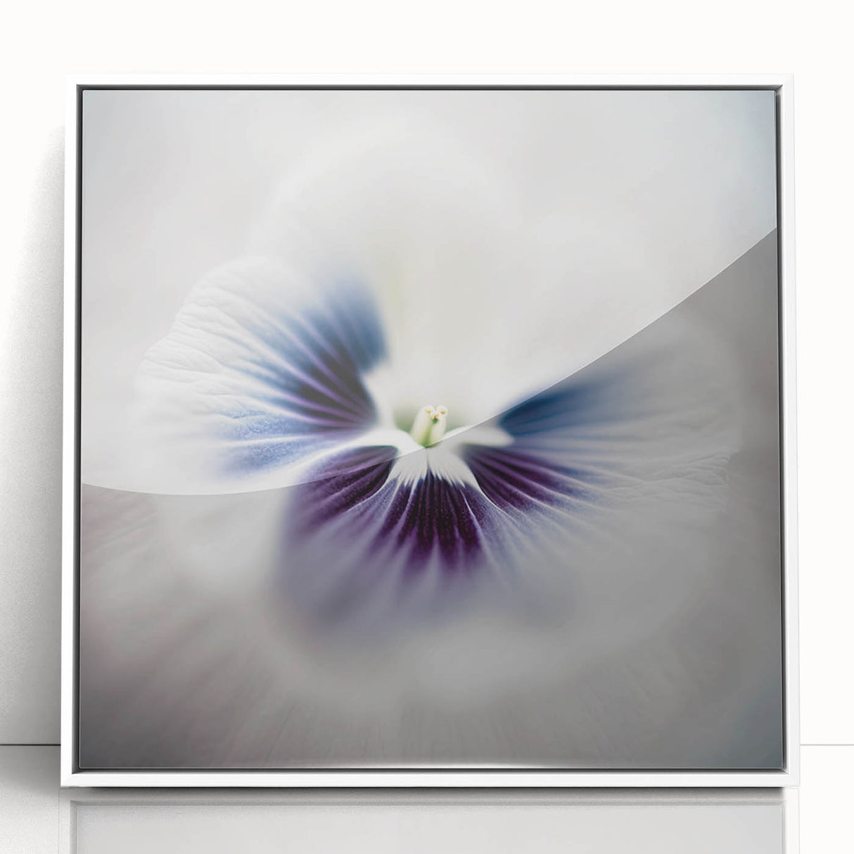 Framed Dining Room Prints - White and Violet Floral Artwork