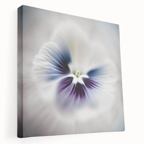 Framed Dining Room Prints - White and Violet Floral Artwork