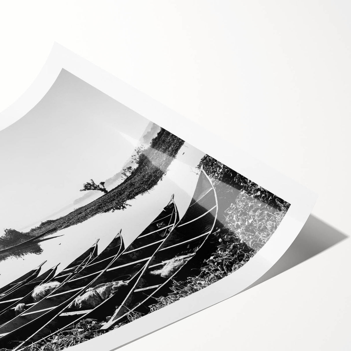 Extra large rolled print featuring line art flowers in monochrome, ideal for large living room wall art.
