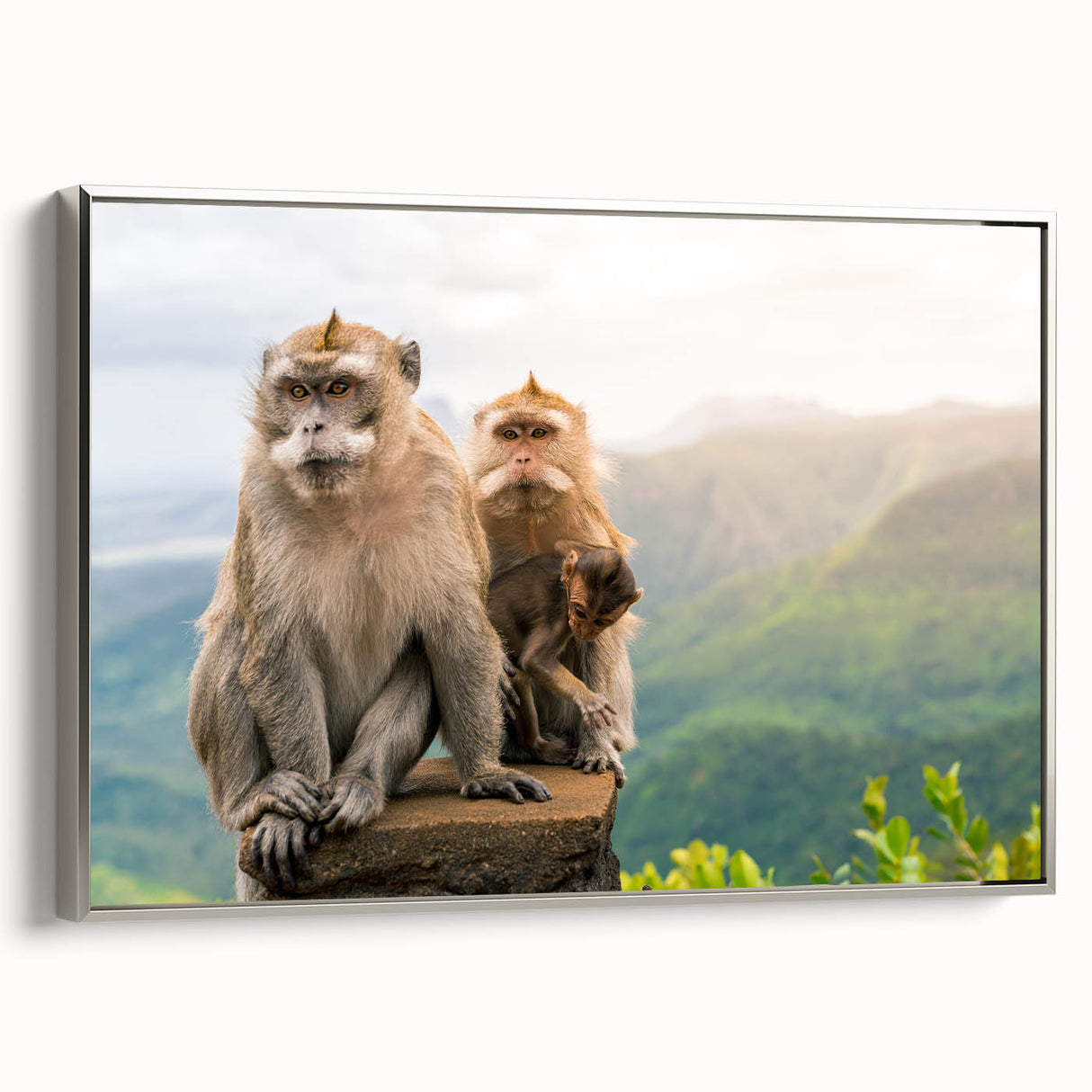 Vintage poster art of a Mauritius landscape on framed canvas, featuring vibrant colors, ideal for living room decor.