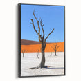 Black and white wall art featuring a framed canvas of a Namibian landscape, ideal for bedroom decor.