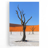 Black and white photograph of an African landscape on stretched canvas.